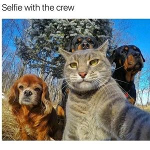 Meet your Posher, Darrell